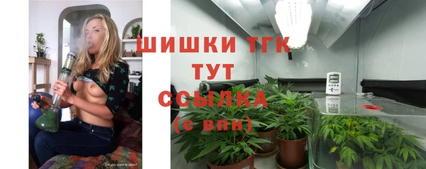 прущие грибы Володарск