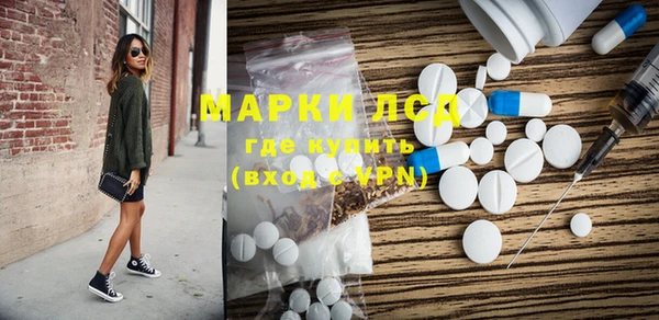 стаф Волосово