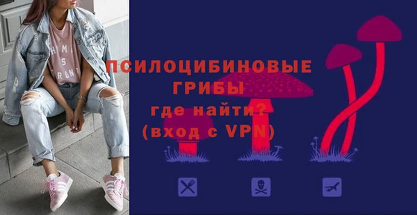 прущие грибы Володарск