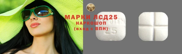 apvp Богданович