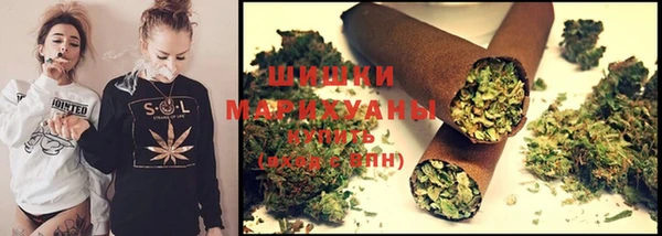 мдпв Верхний Тагил