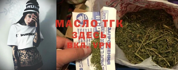 гидра Богородицк