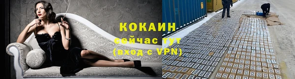 мдпв Верхний Тагил