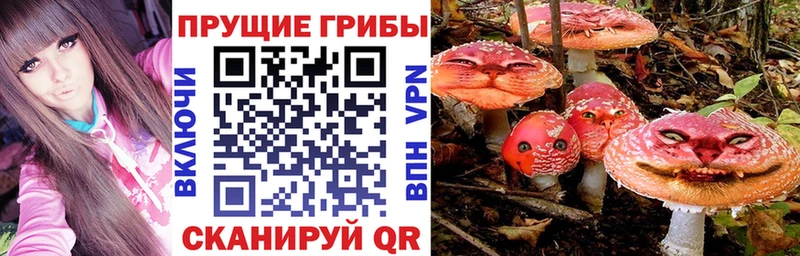 Галлюциногенные грибы ЛСД  цена наркотик  Верхняя Пышма 